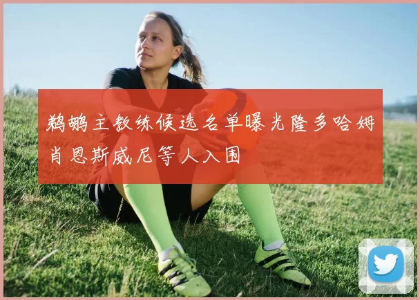 鹈鹕主教练候选名单曝光隆多哈姆肖恩斯威尼等人入围